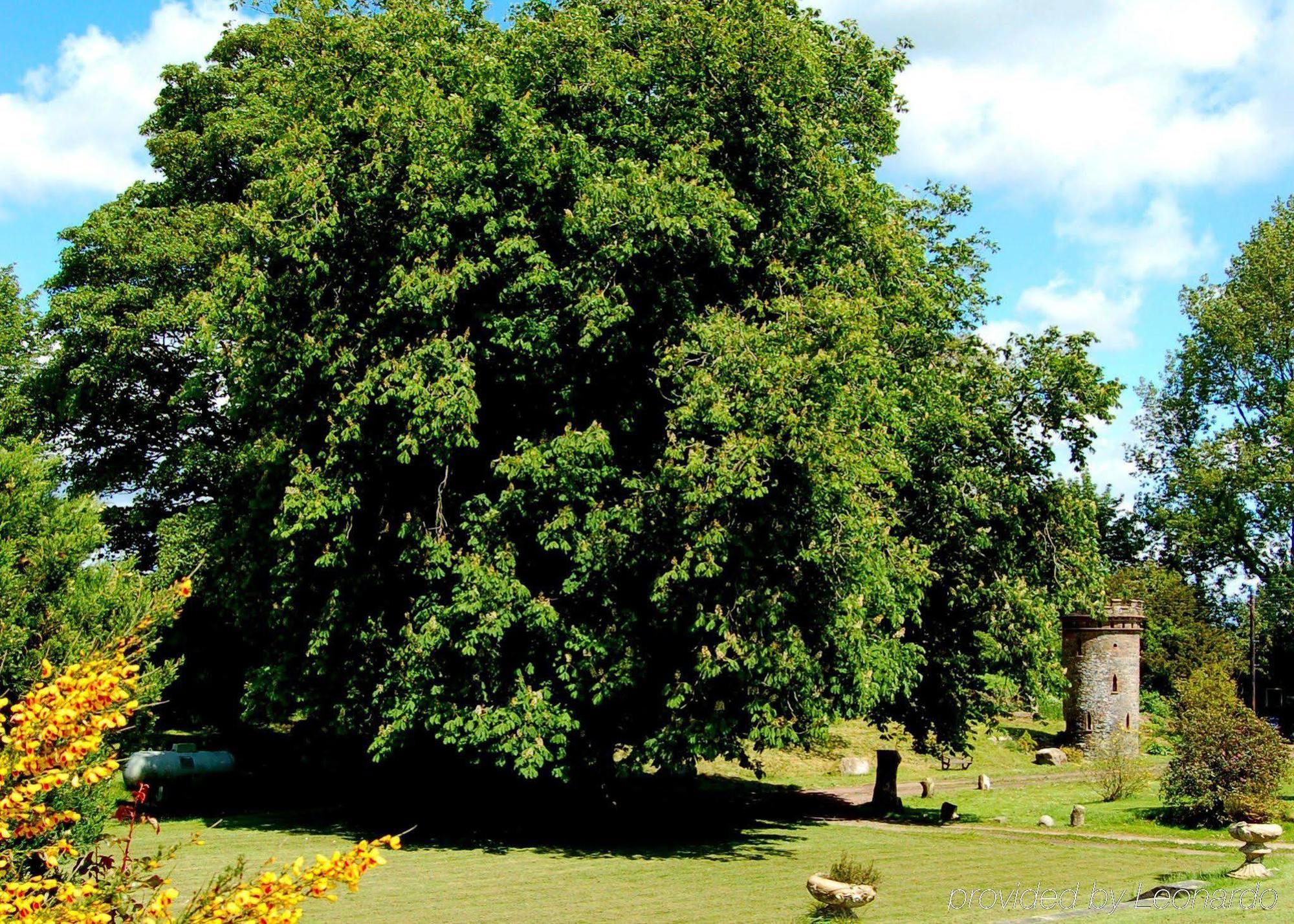 The Urr Valley Country House Hotel Castle Douglas Exteriör bild