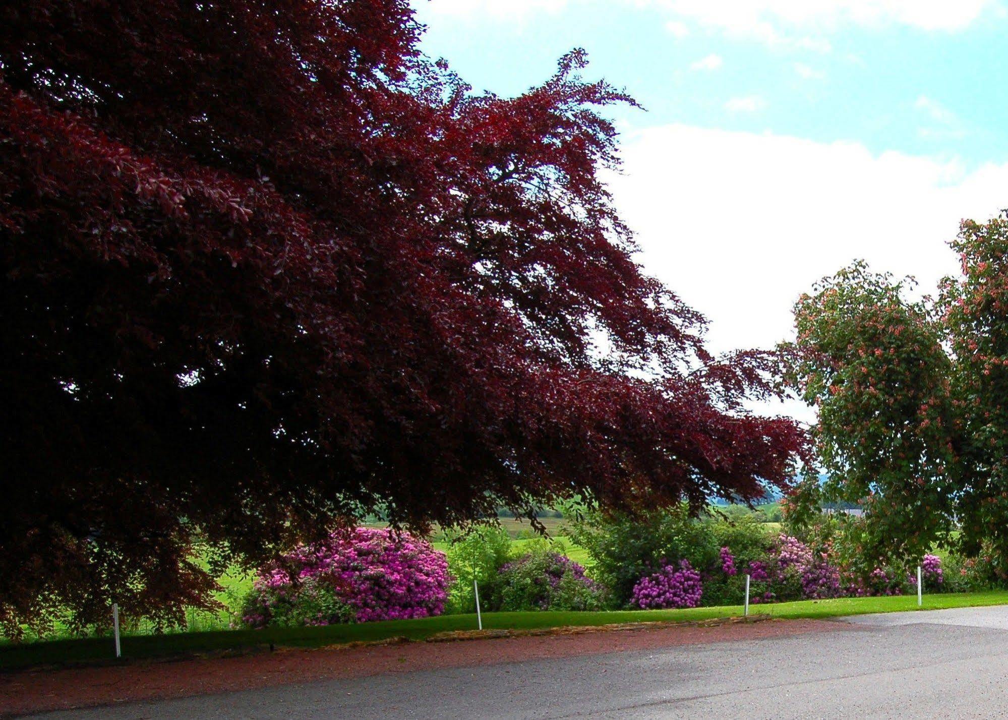 The Urr Valley Country House Hotel Castle Douglas Exteriör bild